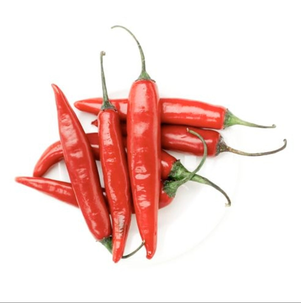 Super Chili (朝天椒)(2.5寸盆)