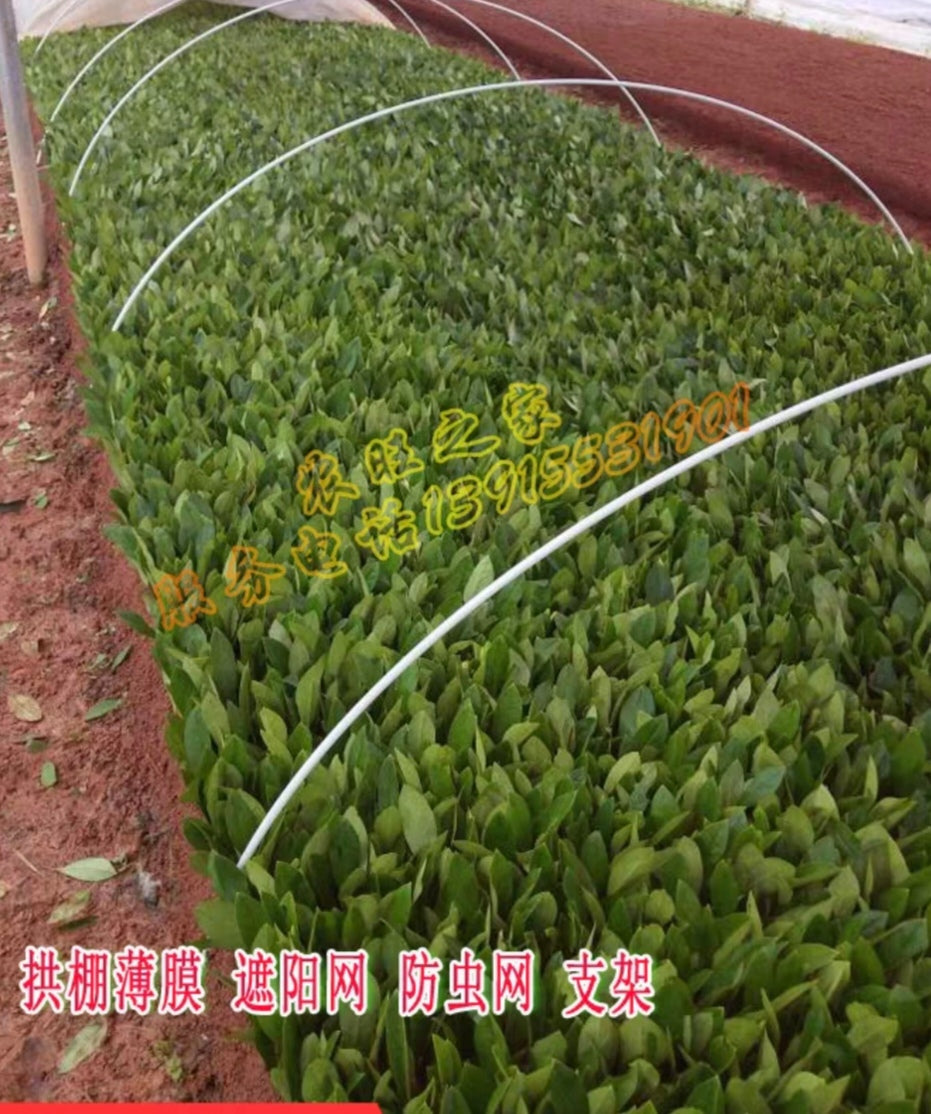 农用弹力棒(3米长,直径7mm)