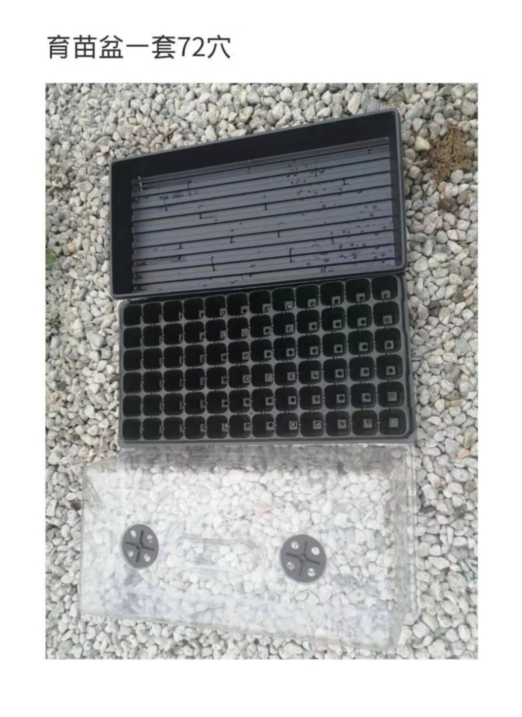 育苗盆一套(普通底盘+低盖或高盖+72穴)