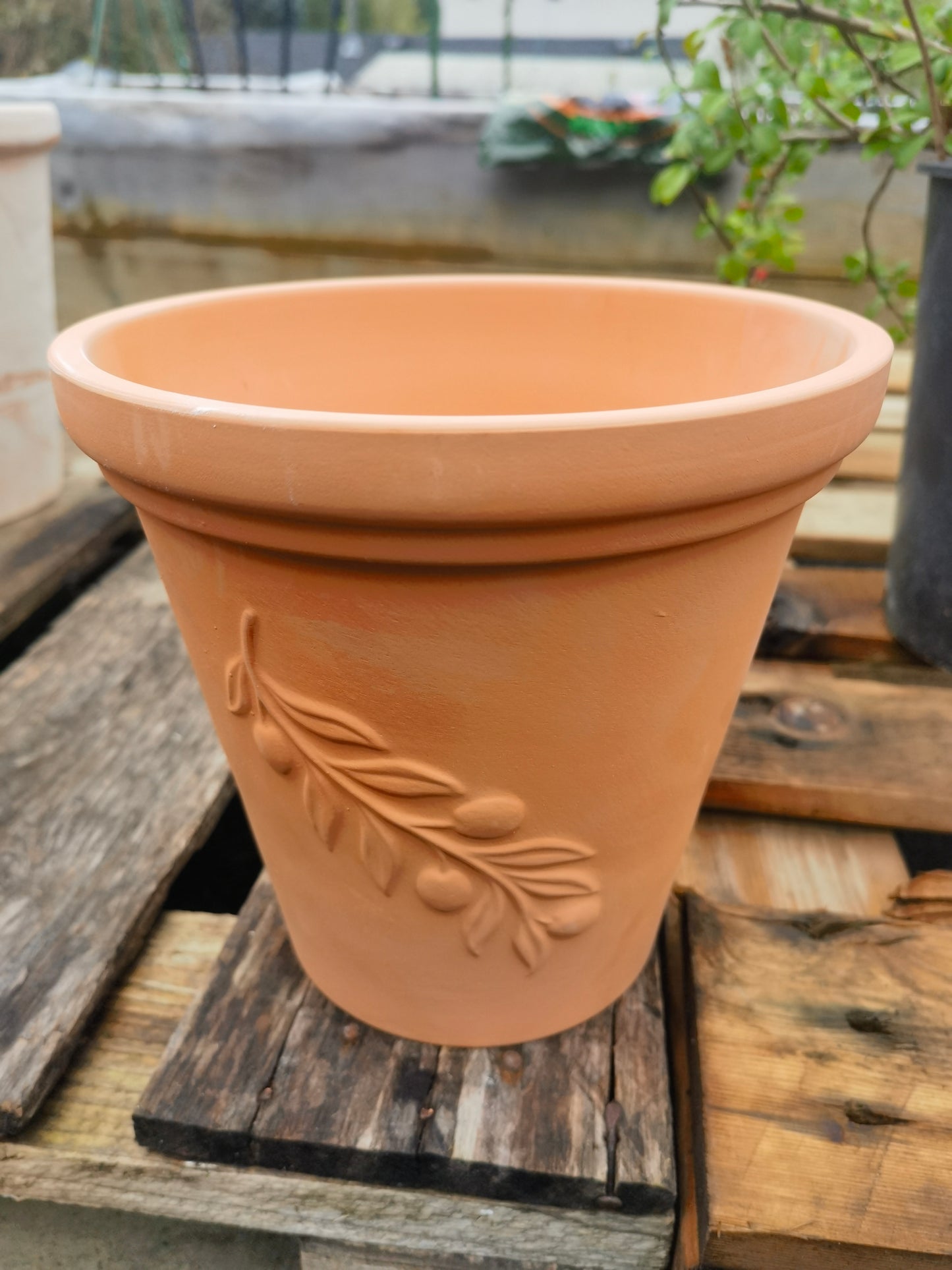 罗马橄榄枝花盆(口径20cm*18cm)