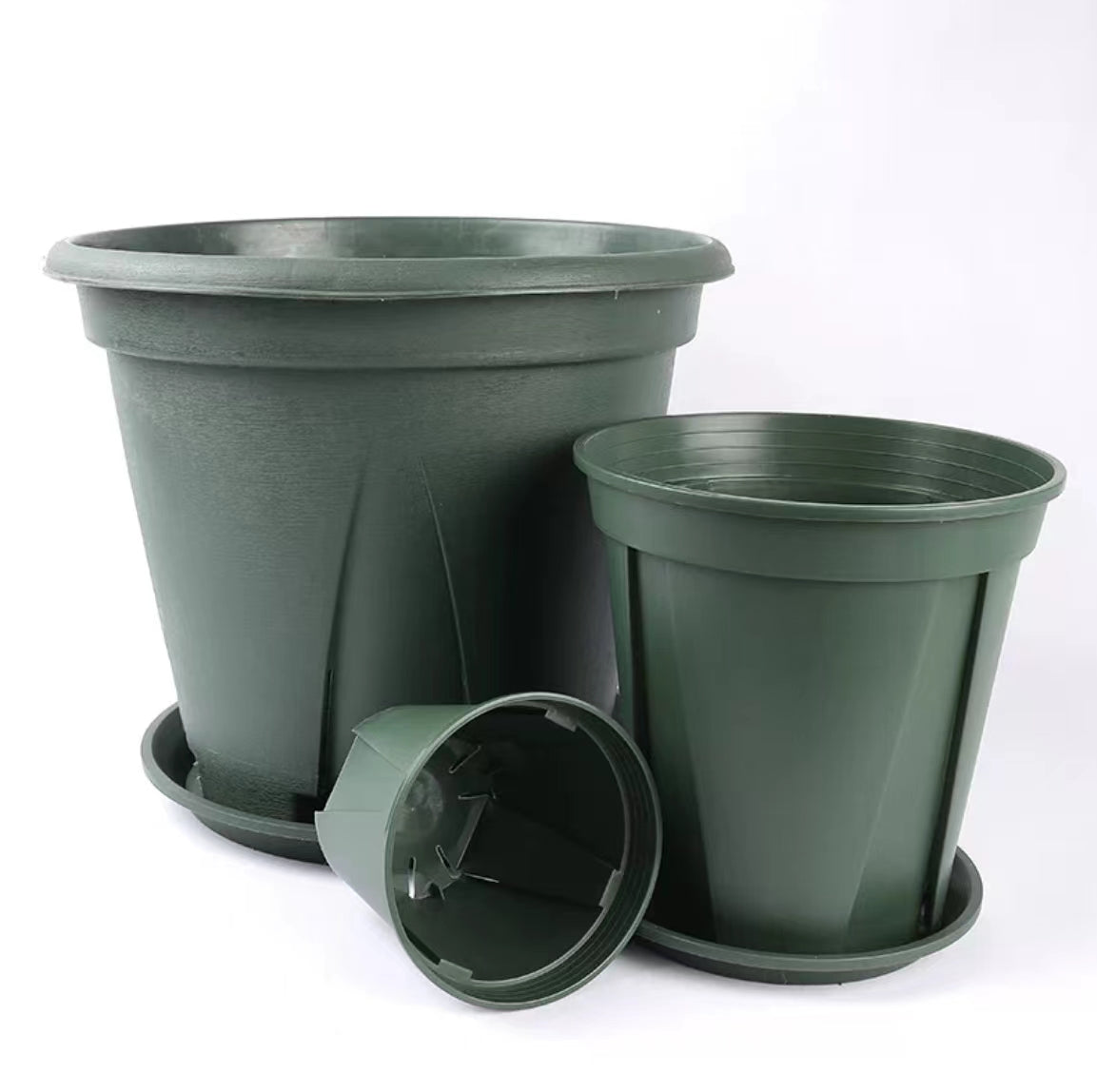 青山盆180 3号盆(5个)