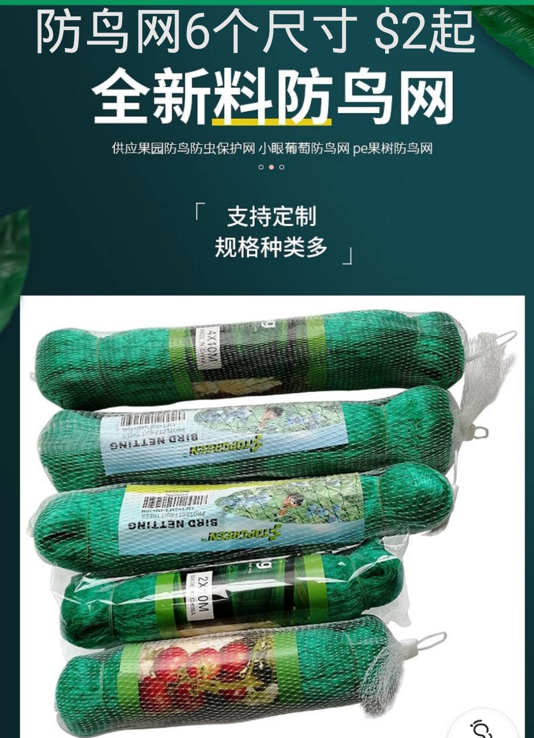 防鸟网 (4*12米