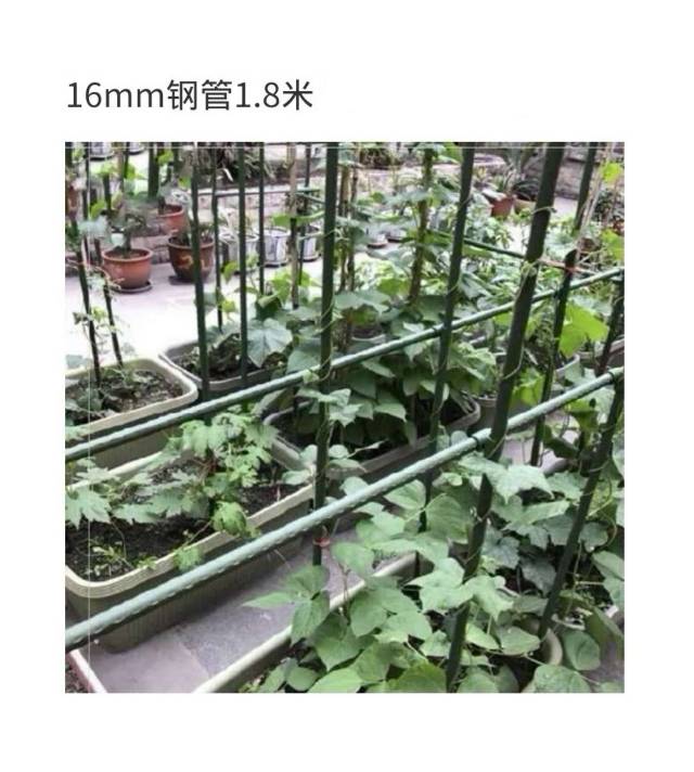 16mm包塑杆(1.8米)