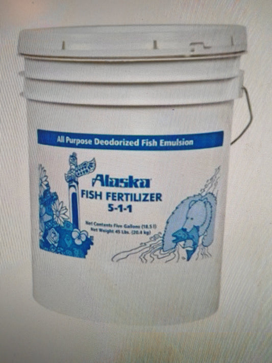 Alaska鱼肥5—1—1