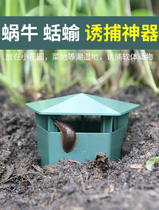 蜗牛盒