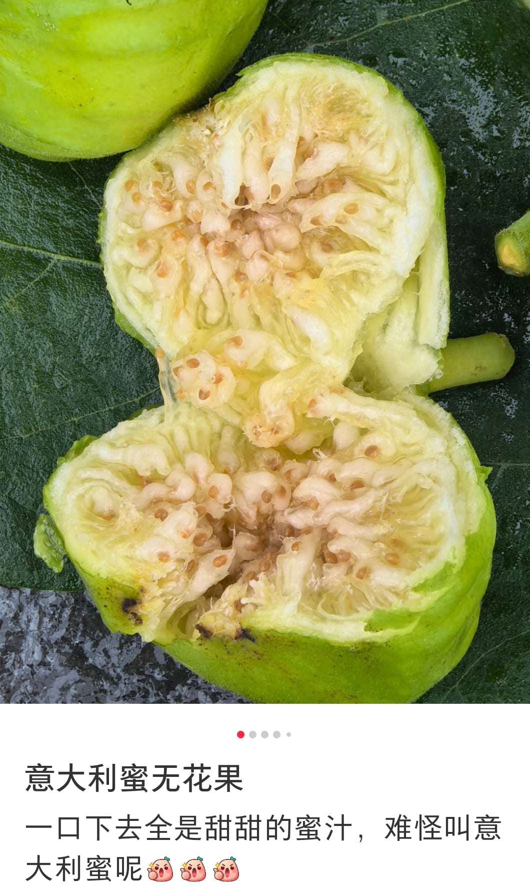 无花果（意大利蜜）