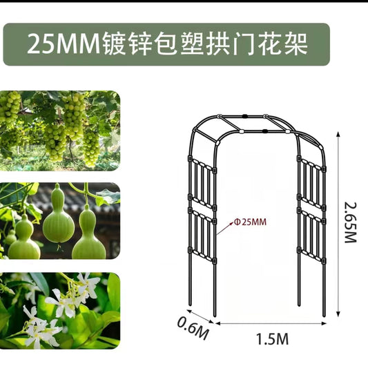 拱门植物爬藤花架