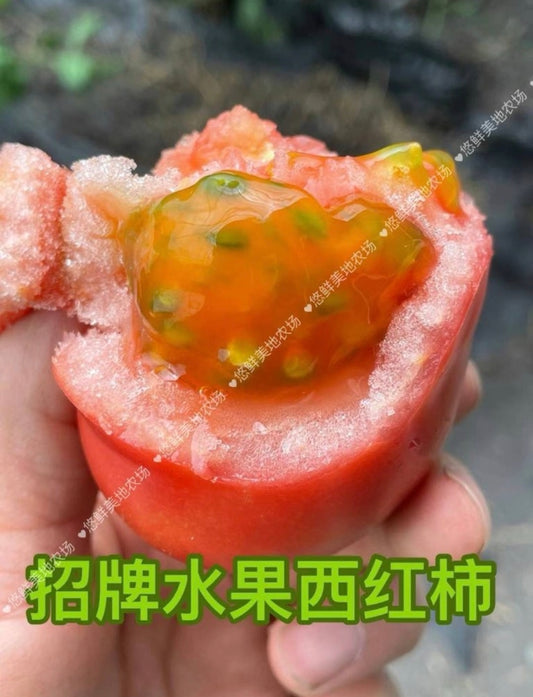 水果西红柿