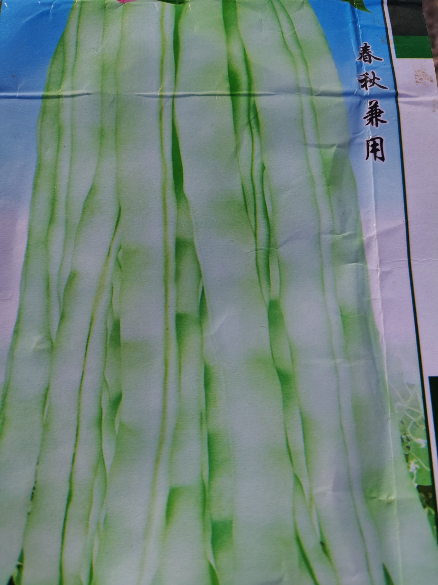 红花白荚
