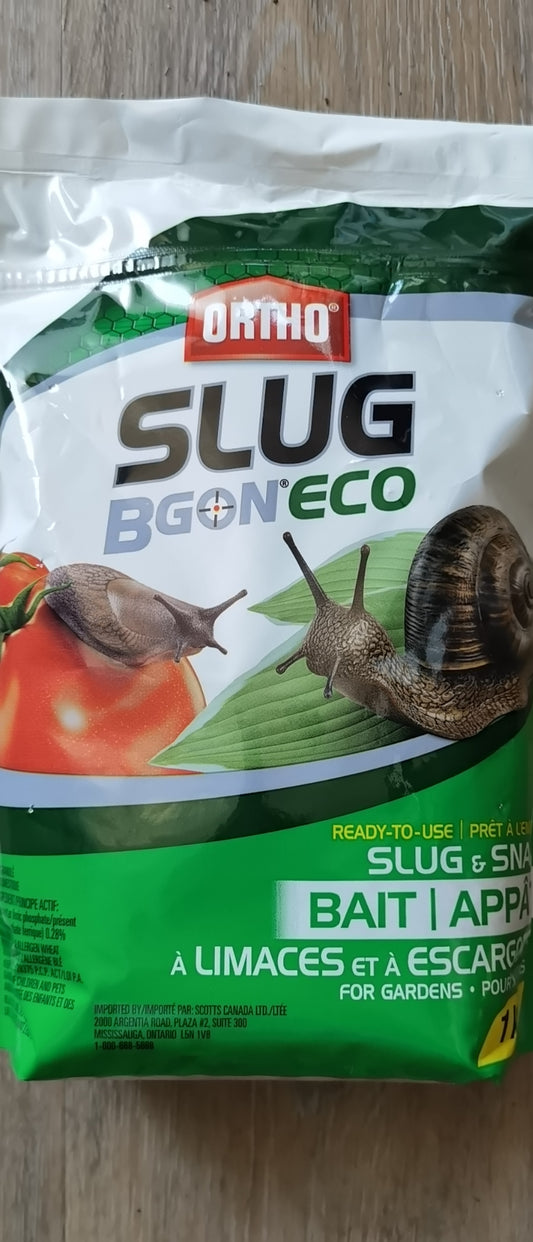 SLUG（蜗牛）