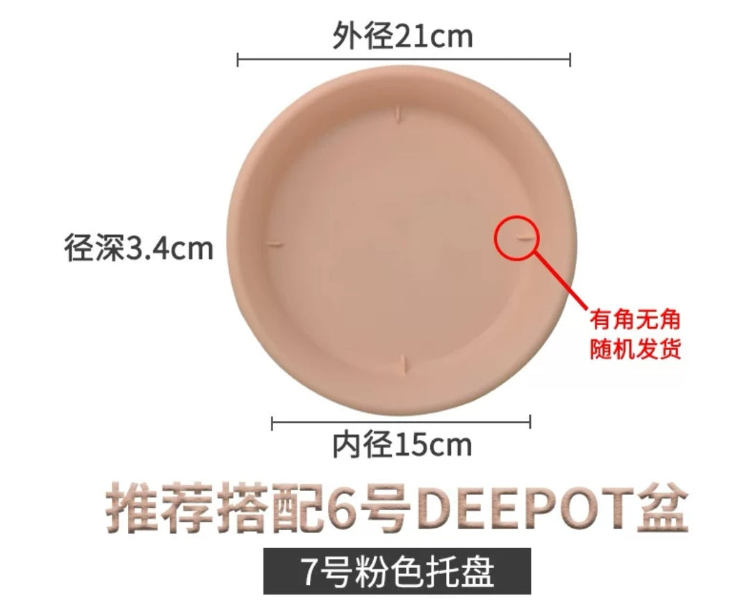 爱丽丝#7号托盘