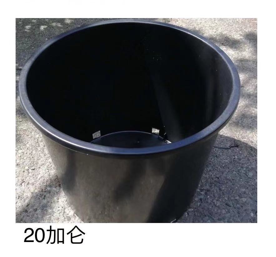 20加仑